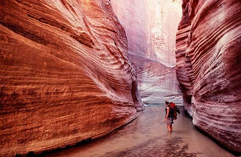 Red slot canyon zion pied de sol tv roulettes