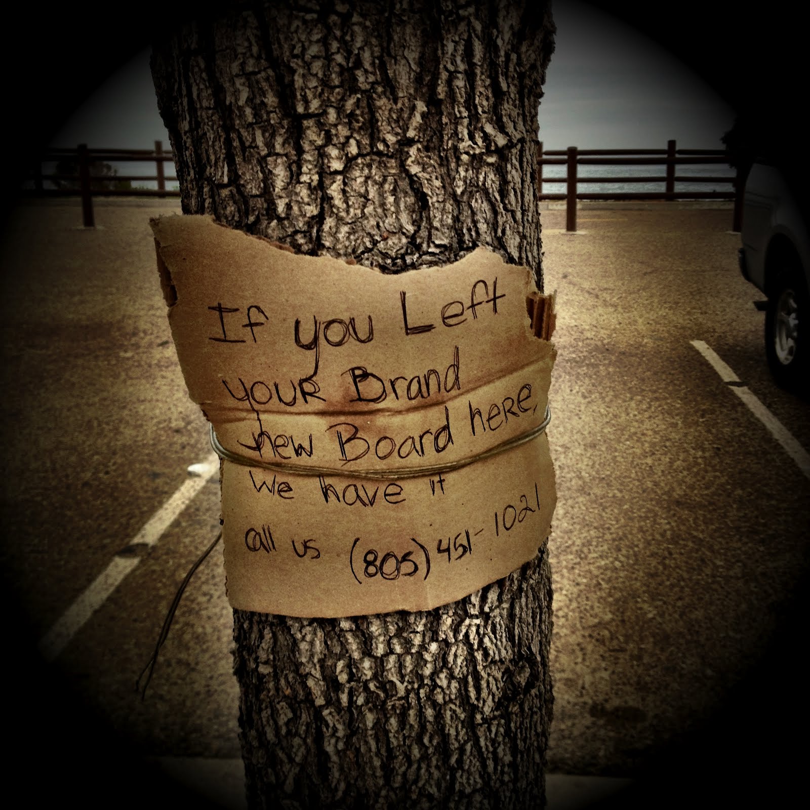 Brynn Woods' Act Of Kindness Goes Viral - 8c529z4