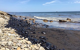 Oil collects along the coastline just north of Refugio State Beach