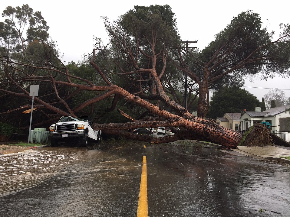 Storm Claims Stone Pine; Apartment Complex Evacuated