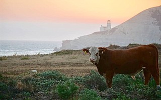 The 24,364-acre Cojo Jalama Ranches, also known as the Bixby Ranch, will now be called the Jack and Laura Dangermond Preserve.