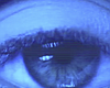 Tease photo