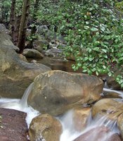 photo thumbnail