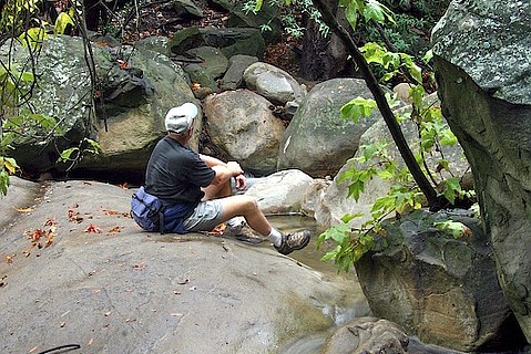 photo thumbnail