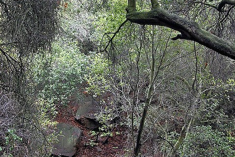 photo thumbnail