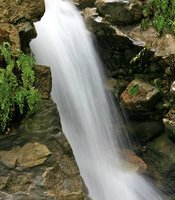 photo thumbnail