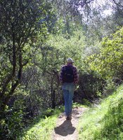 photo thumbnail
