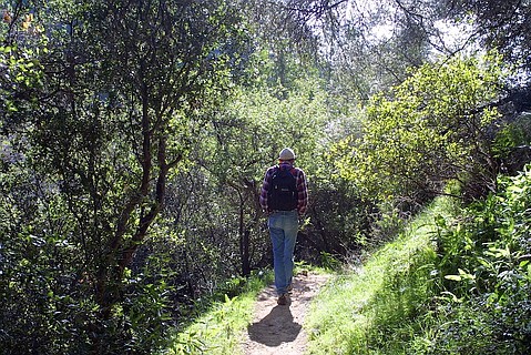 photo thumbnail