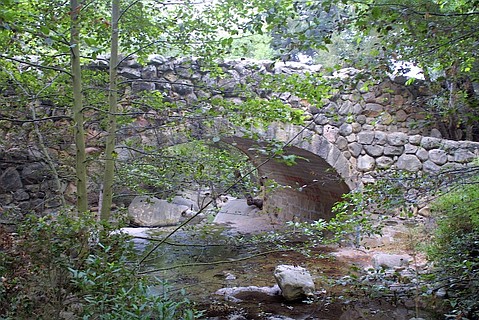 photo thumbnail