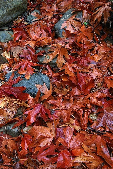 Photo detail