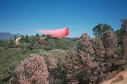 The Phos-Chek brings a false spring color to the landscape. In the background more of it is lain down in anticipation that the fire may attempt to breach the ridge further to the east.
