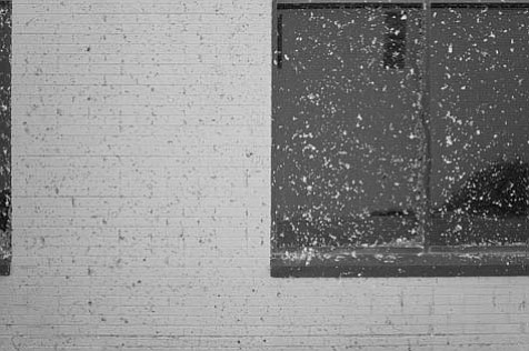 photo thumbnail