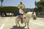A wee vaquero rides a wee horse up State Street in the annual Fiesta Equestrian Parade.
