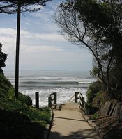 photo thumbnail