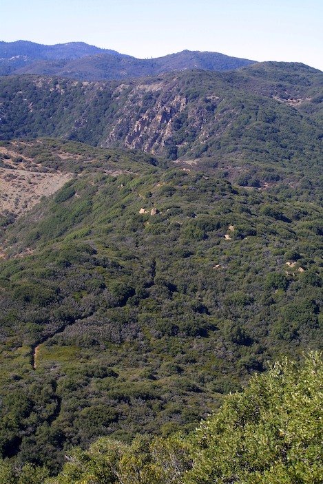 Photo detail
