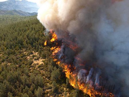 Charges Filed in Zaca Fire