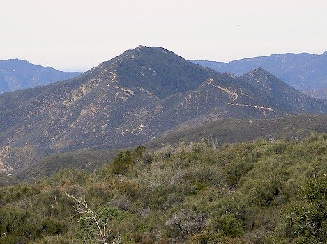 Photo detail