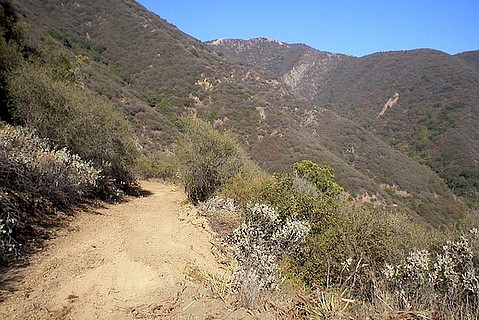 photo thumbnail