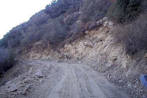 photo thumbnail