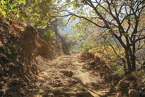 photo thumbnail