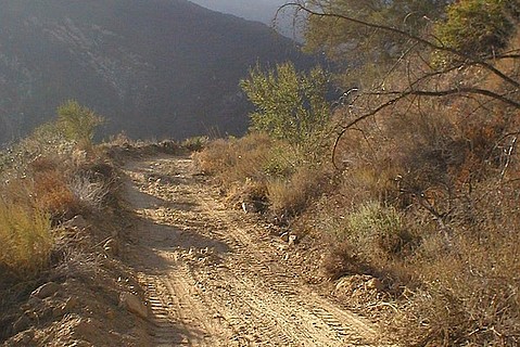 photo thumbnail