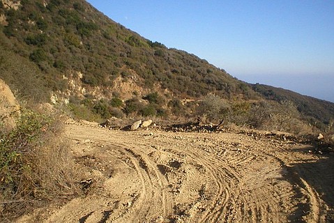 photo thumbnail