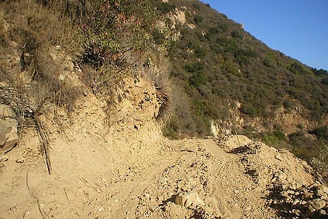 photo thumbnail