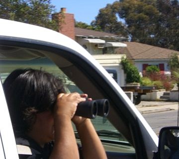 photo thumbnail