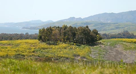 Photo detail
