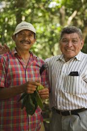 Narciso Torres (left) and Alfonso Tzul, two El Pilar farmers, will visit the El Pilar Festival at the Natural History Museum this Saturday.