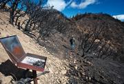 The author's friend, Otis Calef, heads down the trail that leads to the Madulce Ridge. Behind him, only ashes remain at the visitor register near Buckhorn Road.