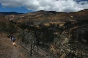 Several members of the Volunteer Wilderness Rangers head into the San Rafael Wilderness near Flores Flat to survey the fire damage done to the riparian areas.