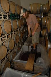 Before the fruit is ready for its big squeeze, it is subjected to twice-a-day punch-downs-Matt Brady demonstrates at right-for two weeks, so as to expedite its fermenting process.