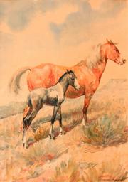 "Pinto Horse #2" (Alternate illustration for cover of <em>The Pinto Horse</em>by Charles Elliot Perkins) watercolor.