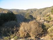 The Arroyo Hondo Preserve snakes back in the Gaviota Coast's wooded, rocky canyons.