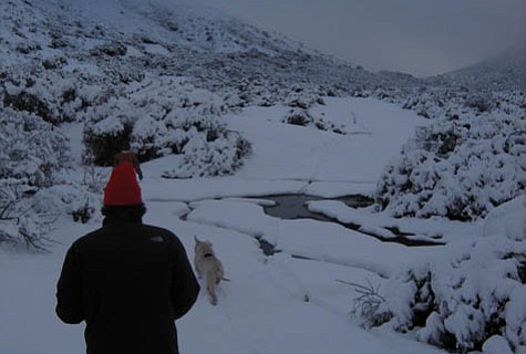 photo thumbnail
