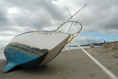 photo thumbnail