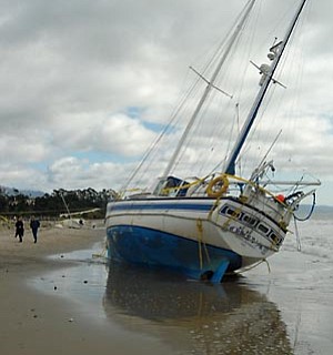 photo thumbnail