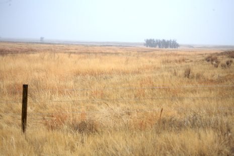 Photo detail