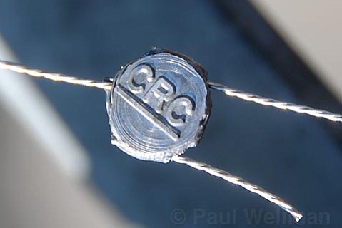 photo thumbnail