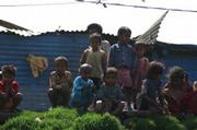 More than two million children die every year in India, mostly due to malnutrition-related causes. In recent years, humanitarian experts have realized that micronutrients-such as Vitamin A, iodine, and iron-are keys
to improving global health.