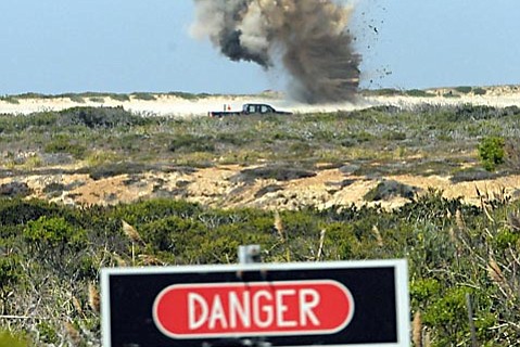 photo thumbnail