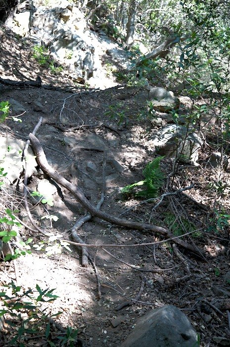 Photo detail