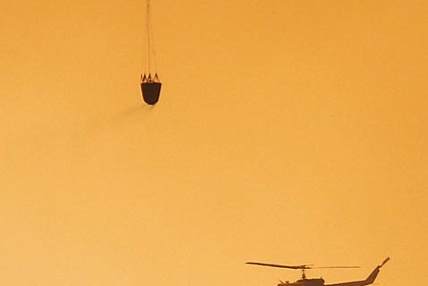 photo thumbnail