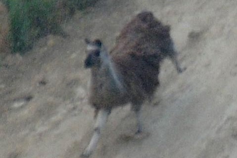 photo thumbnail