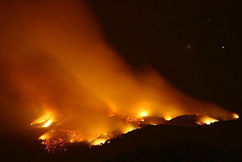 photo thumbnail
