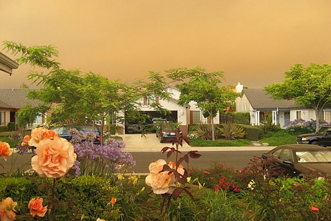 photo thumbnail
