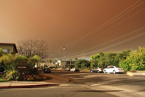 photo thumbnail