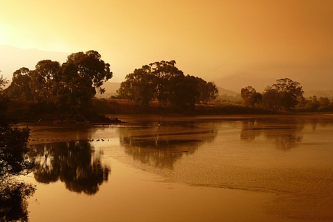photo thumbnail