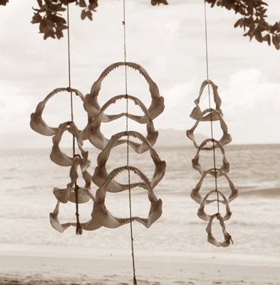 Photo detail